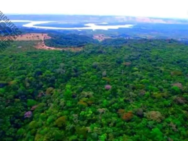Imagem 2: FAZENDA RURAL em Cachoeira - Bahia