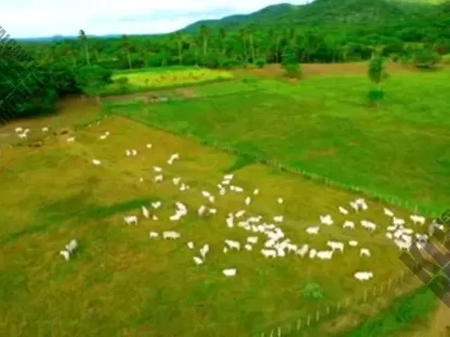 Imagem 14: FAZENDA RURAL em Cachoeira - Bahia