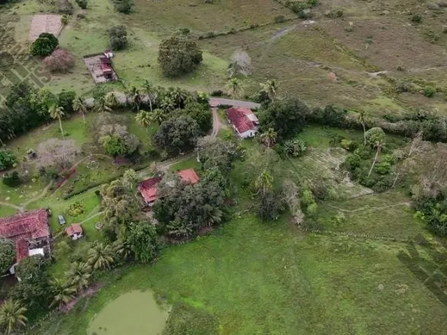 Imagem 9: FAZENDA RURAL em Cachoeira - Bahia