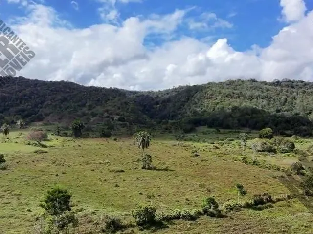 Imagem 10: FAZENDA RURAL em Cachoeira - Bahia
