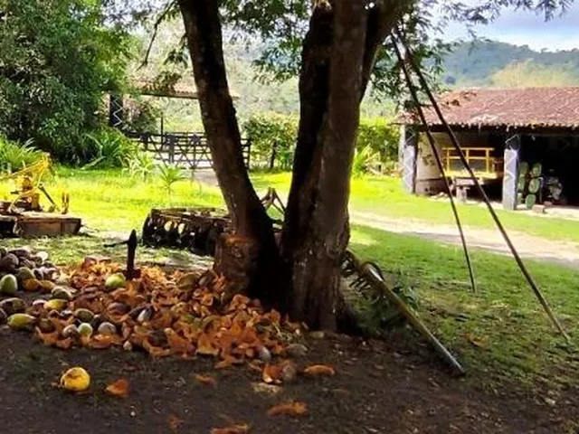 Imagem 3: FAZENDA RURAL em Cachoeira - Bahia