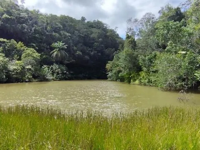 Imagem 5: FAZENDA RURAL em Cachoeira - Bahia