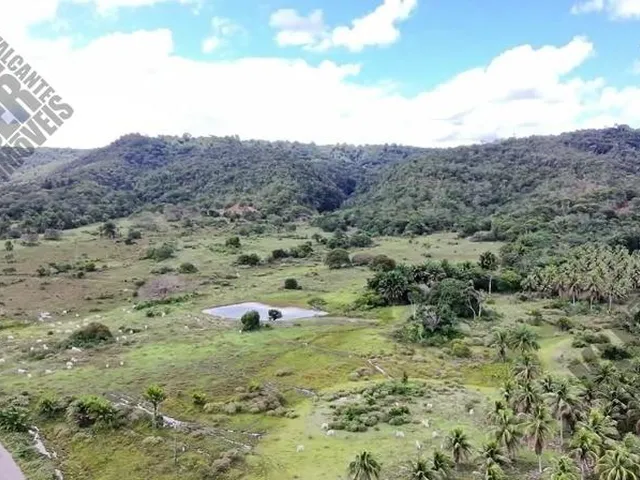 Imagem 8: FAZENDA RURAL em Cachoeira - Bahia