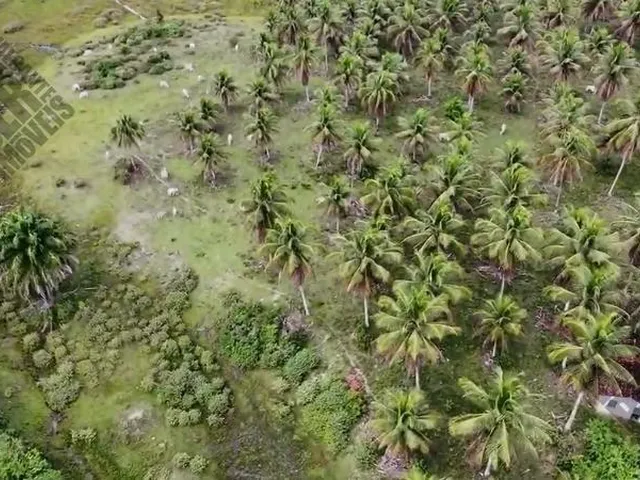 Imagem 12: FAZENDA RURAL em Cachoeira - Bahia
