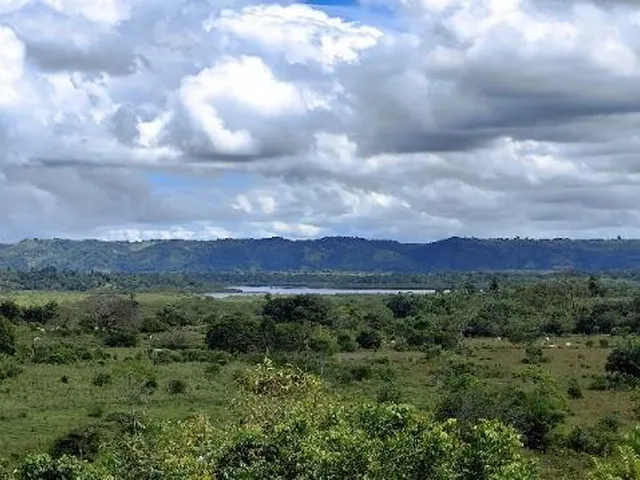 Imagem 16: FAZENDA RURAL em Cachoeira - Bahia