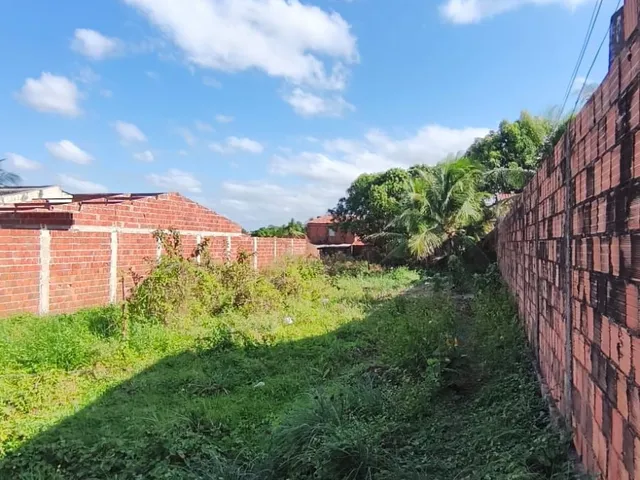 Imagem 3: TERRENO À VENDA | 214,50m²