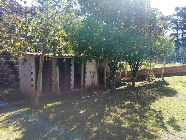 Imagem 6: Casa Residencial com 7 dormitórios, Sacada e Pátio para Locação
