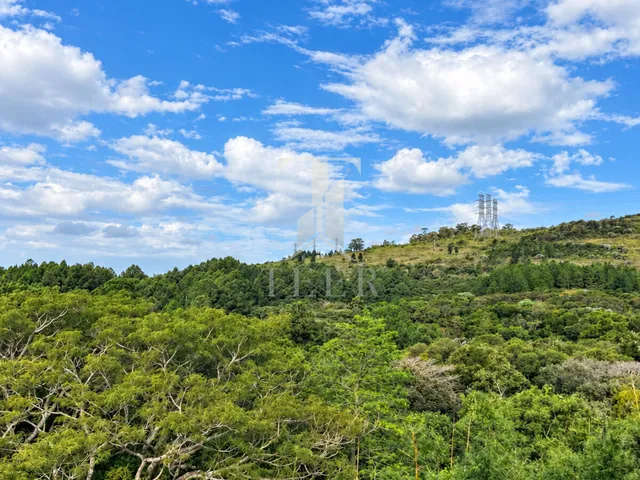 Imagem 7: Apartamento à venda no bairro Alto Petropolis - Porto Alegre/RS