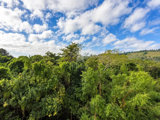 Imagem 7: Apartamento à venda no bairro Alto Petropolis - Porto Alegre/RS