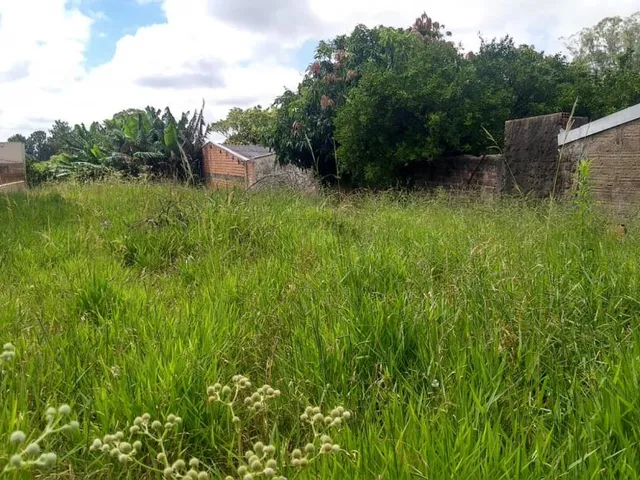 Imagem 2: Amplo terreno no bairro Petrópolis, medindo 480m2