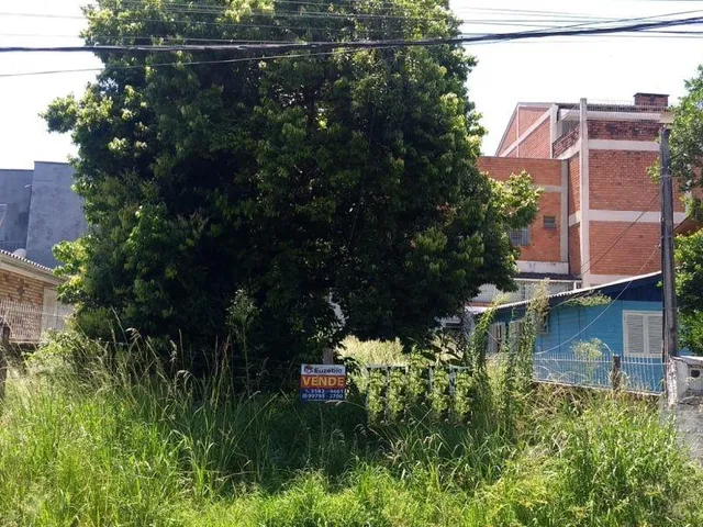 Imagem: Terreno plano no Pátria Nova, 194m2, imediações