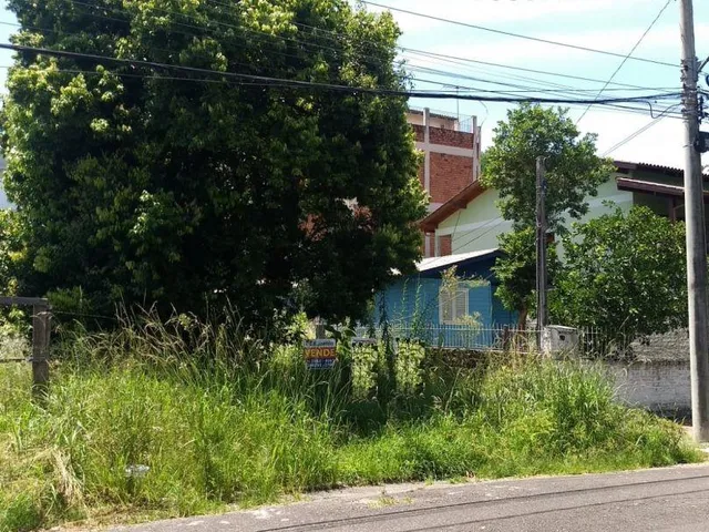 Imagem 4: Terreno plano no Pátria Nova, 194m2, imediações do Bourbon