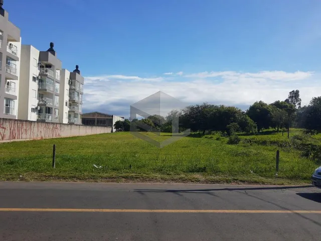 Imagem 2: Terreno no bairro Liberdade, próximo a BR-116, medindo 1.828,40m2