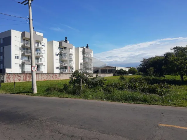 Imagem 4: Terreno no bairro Liberdade, próximo a BR-116, medindo 1.828,40m2