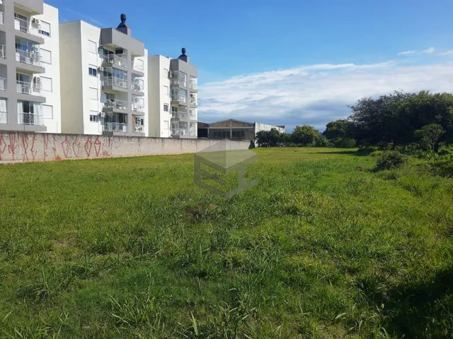 Imagem 5: Terreno no bairro Liberdade, próximo a BR-116, medindo 1.828,40m2