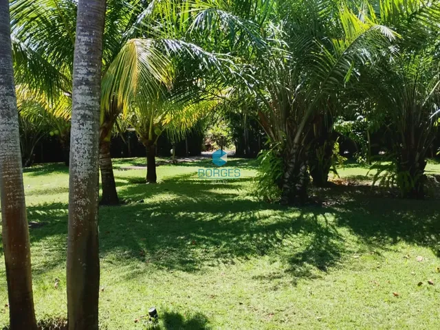 Imagem 9: Casa à venda em Costa do Sauípe com 1.200m², projeto David Bastos e porteira fechada