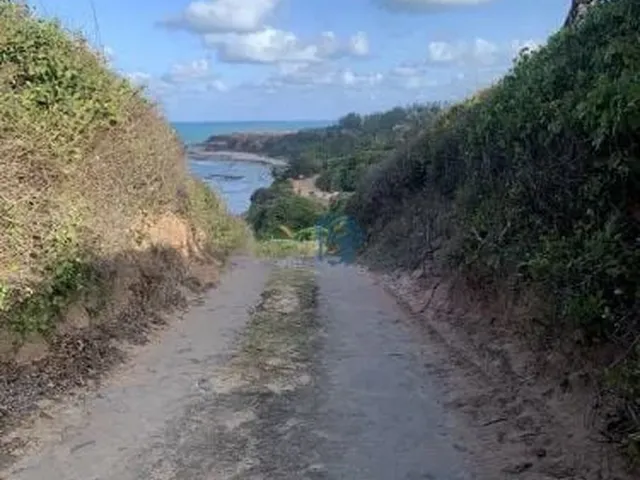 Imagem 8: Condomínio Vista para o mar - TERRENO ÚNICO COM VISTA PARA O MAR NA PRAIA DA PIPA