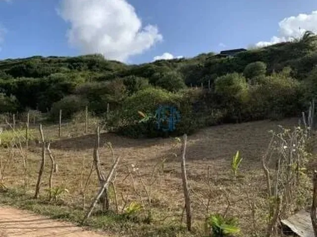 Imagem 6: Condomínio Vista para o mar - TERRENO ÚNICO COM VISTA PARA O MAR NA PRAIA DA PIPA