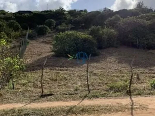 Imagem 9: Condomínio Vista para o mar - TERRENO ÚNICO COM VISTA PARA O MAR NA PRAIA DA PIPA
