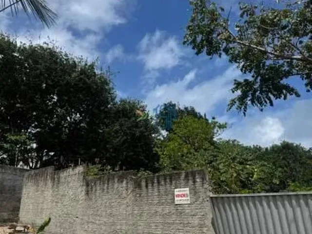 Imagem: TERRENO 432M² PERTO DA PRAIA DO AMOR