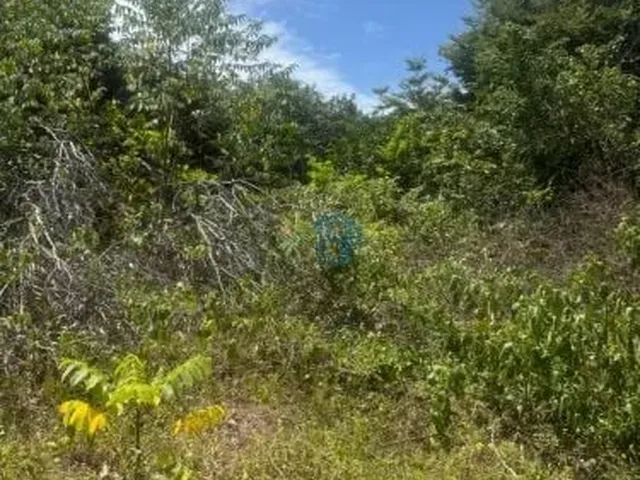 Imagem 9: Terreno 432M² Perto da Praia do Amor | Murado e Documentado