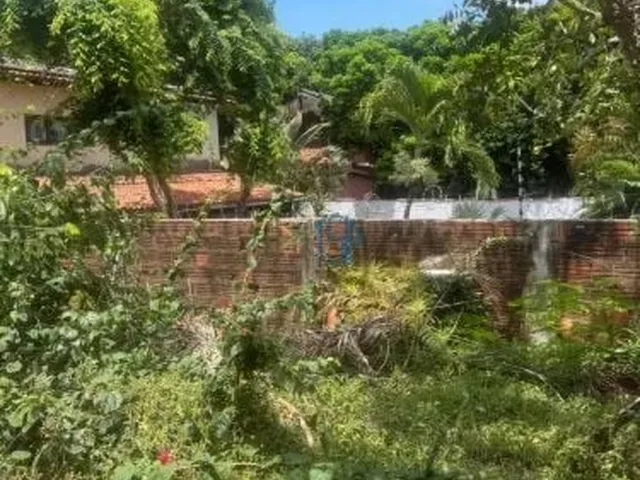 Imagem 2: Terreno 432M² Perto da Praia do Amor | Murado e Documentado