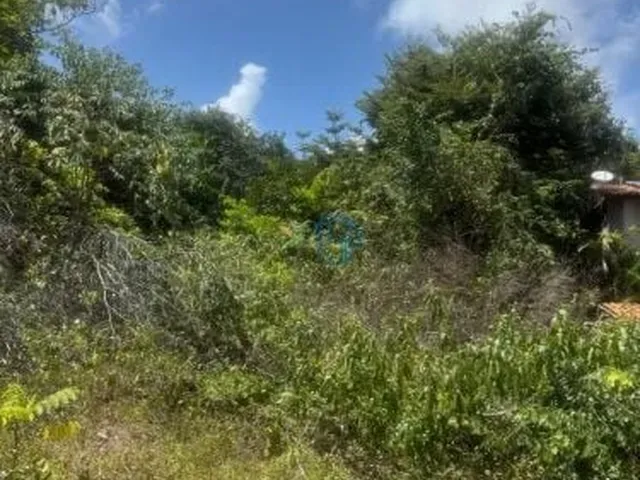 Imagem 5: Terreno 432M² Perto da Praia do Amor | Murado e Documentado