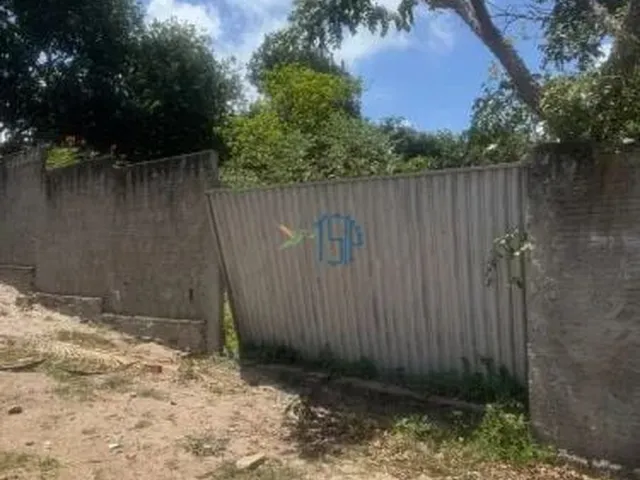 Imagem 8: Terreno 432M² Perto da Praia do Amor | Murado e Documentado