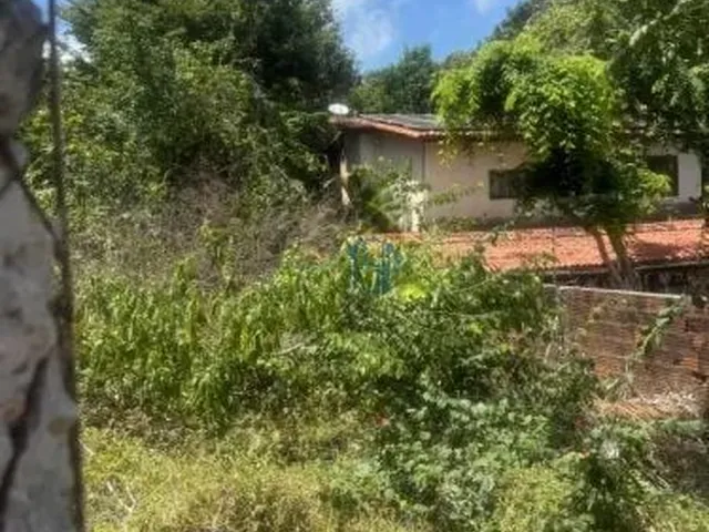 Imagem 4: Terreno 432M² Perto da Praia do Amor | Murado e Documentado