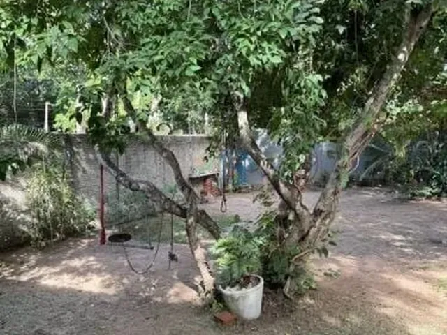 Imagem 8: CASA 3 QUARTOS COM PISCINA, QUINTAL AMPLO E MUITO VERDE