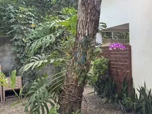 Imagem 15: CASA 3 QUARTOS COM PISCINA, QUINTAL AMPLO E MUITO VERDE