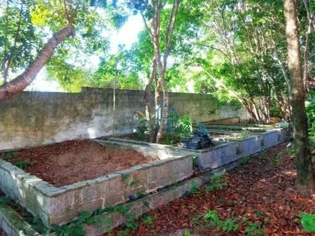 Imagem 6: CASA COM 3 QUARTOS E TERRENO DE 1.000 M² – PIPA