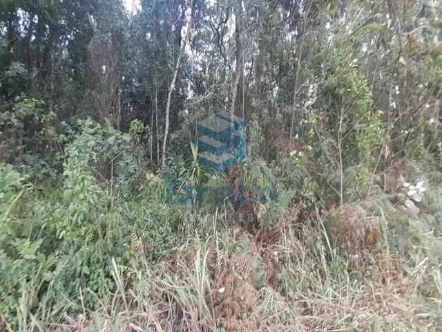 Imagem: Normal,Area em Piedade - São Paulo