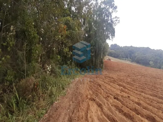 Imagem 3: Normal,Area em Piedade - São Paulo