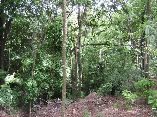 Imagem 12: NORMAL,SITIO em Sorocaba - São Paulo, Brigadeiro Tobias