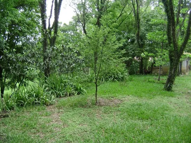 Imagem 11: NORMAL,SITIO em Sorocaba - São Paulo, Brigadeiro Tobias