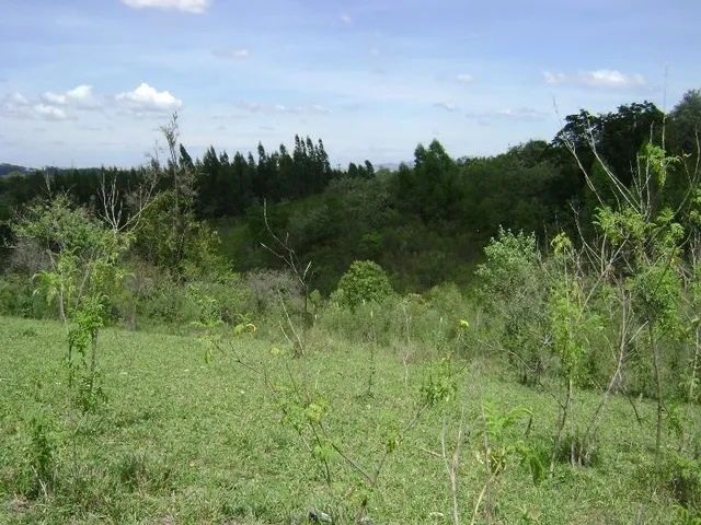 Imagem 15: NORMAL,SITIO em Sorocaba - São Paulo, Brigadeiro Tobias