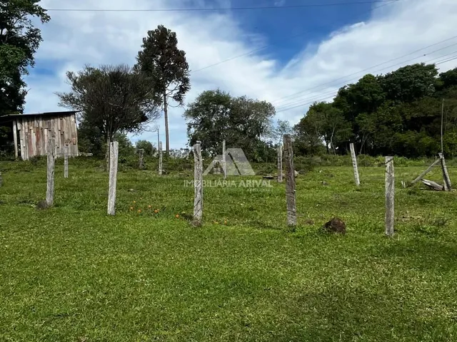 Imagem 2: ÁREA PRÓXIMA DO NOVO AUTÓDROMO
