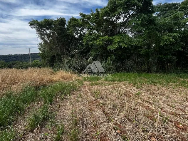 Imagem 13: ÁREA PRÓXIMA DO NOVO AUTÓDROMO