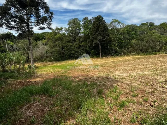 Imagem 10: ÁREA PRÓXIMA DO NOVO AUTÓDROMO