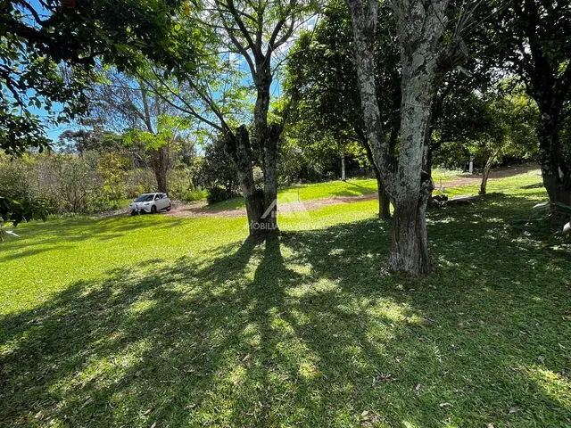Imagem 7: ÁREA PRÓXIMA DO NOVO AUTÓDROMO