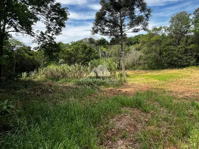 Imagem 9: ÁREA PRÓXIMA DO NOVO AUTÓDROMO