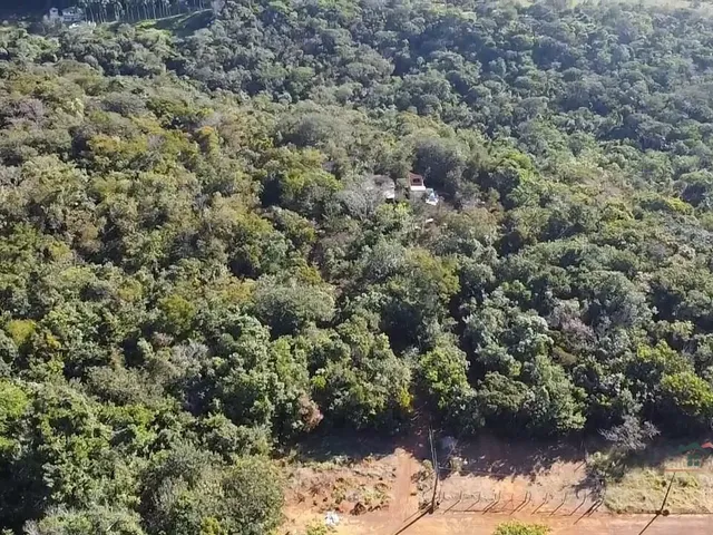 Imagem 5: Chácara para venda