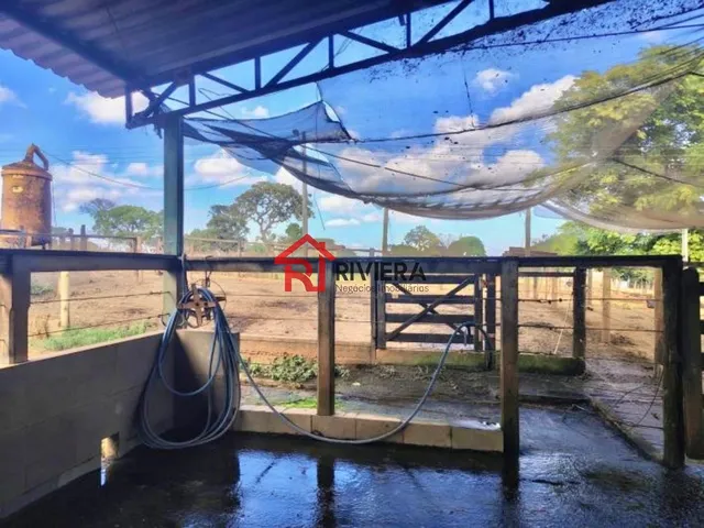 Imagem 3: FAZENDA RURAL em CURVELO - MG, CENTRO