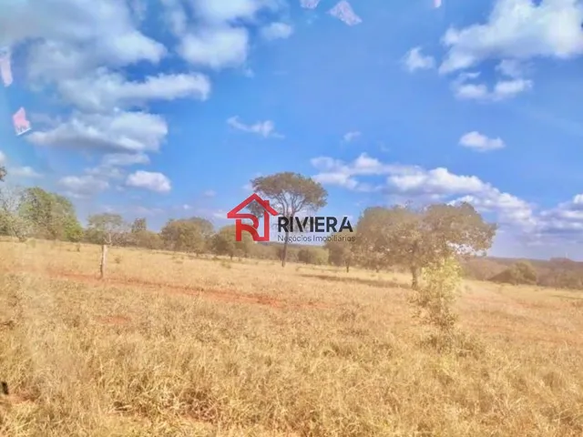 Imagem 13: FAZENDA RURAL em CURVELO - MG, CENTRO