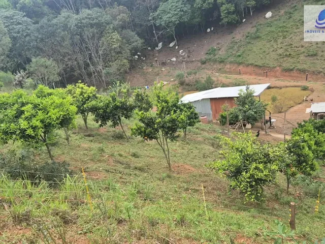 Imagem 14: Chácara em Área Rural (Areia Branca dos Assis), Mandirituba/PR
