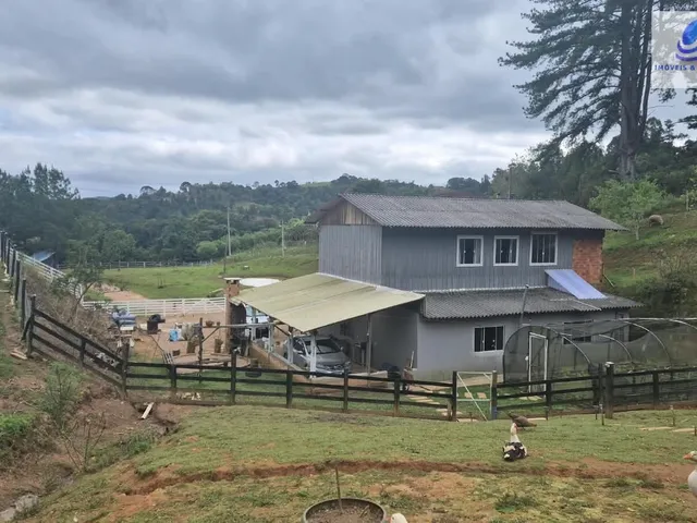 Imagem 15: Chácara em Área Rural (Areia Branca dos Assis), Mandirituba/PR