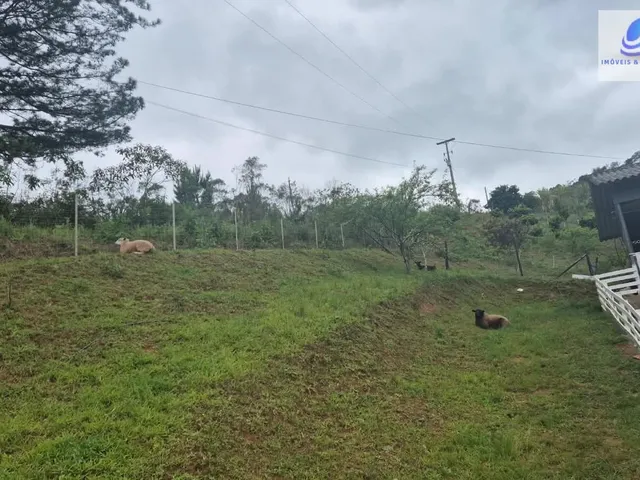 Imagem 11: Chácara em Área Rural (Areia Branca dos Assis), Mandirituba/PR