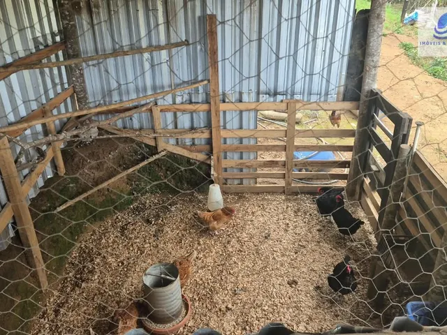Imagem 8: Chácara em Área Rural (Areia Branca dos Assis), Mandirituba/PR