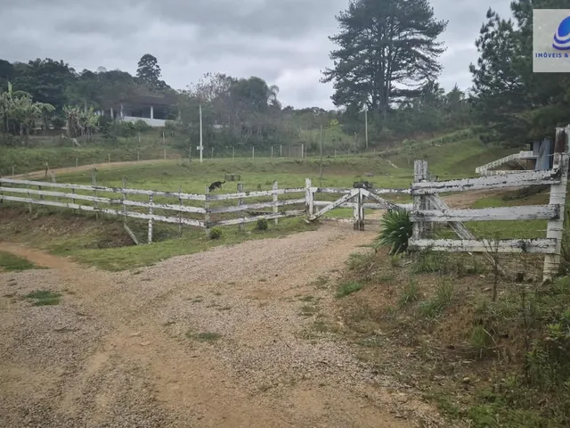 Imagem 12: Chácara em Área Rural (Areia Branca dos Assis), Mandirituba/PR